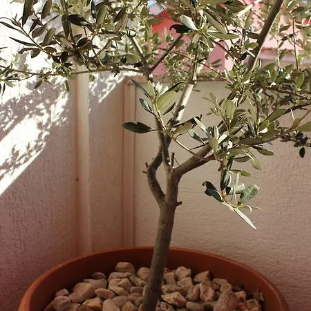 Appartement Luburic